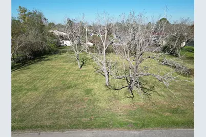 409 Carlton Street, Brazoria, TX 77422 - Photo 1
