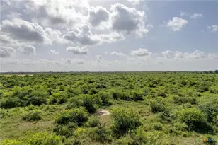 80 Acres Hwy 172, Port Lavaca, TX 77979 - Photo 8