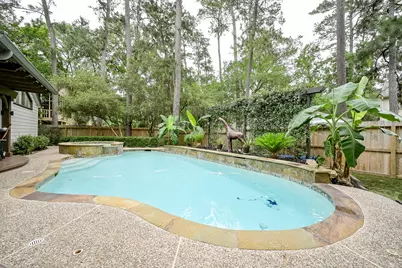 31 Gannet Hollow Place, The Woodlands, TX 77381 - Photo 32