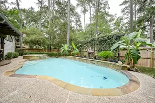 31 Gannet Hollow Pl, The Woodlands, TX 77381 - Photo 32