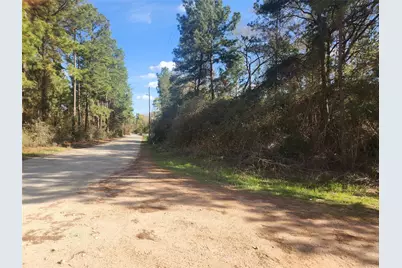Lot 3 Live Oak Drive, Plantersville, TX 77363 - Photo 18