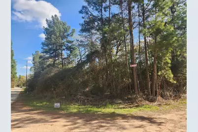 Lot 3 Live Oak Drive, Plantersville, TX 77363 - Photo 6