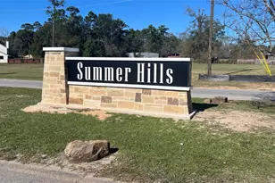 Lot 175 Indigo Way, Porter, TX 77365 - Photo 6