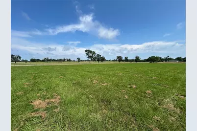 38645 Wiggins Road, Hempstead, TX 77445 - Photo 4