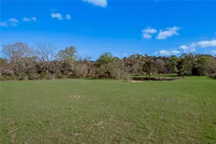 2155 W US Hwy 287, Groveton, TX 75845 - Photo 28