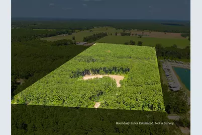 801 Pelican Road, Shepherd, TX 77371 - Photo 1