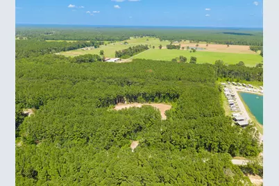 801 Pelican Road, Shepherd, TX 77371 - Photo 10