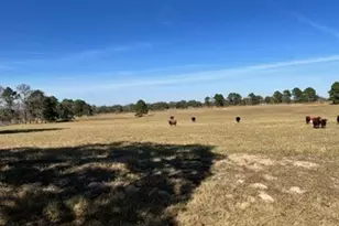 1111 Pine Ranch Rd, Seguin, TX 78155 - Photo 6