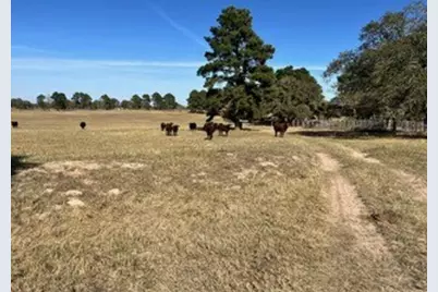 1111 Pine Ranch Road, Seguin, TX 78155 - Photo 2