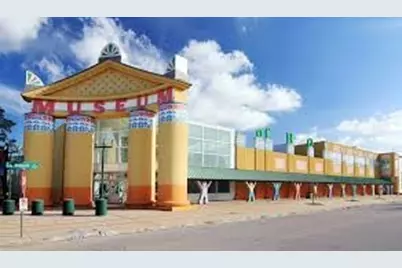 1610 Calumet Street, Houston, TX 77004 - Photo 44