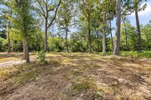 141 County Rd 3372, Cleveland, TX 77327 - Photo 34