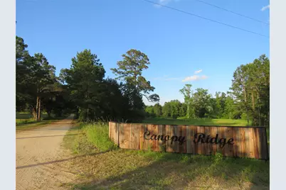 Tbd Canopy Ridge Trail, Kennard, TX 75847 - Photo 4