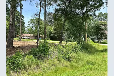 0 Tallow Drive, Conroe, TX 77385 - Photo 10