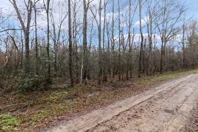 0 Wolfe Creek Road, Shepherd, TX 77371 - Photo 4