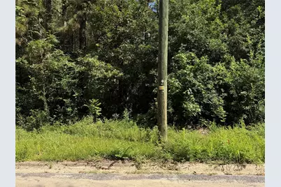 00 Hickory Ln, Splendora, TX 77372 - Photo 2