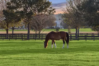 12606 Walther Court, Magnolia, TX 77354 - Photo 50