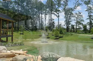 4424 Wapama Falls Loop, Conroe, TX 77303 - Photo 38