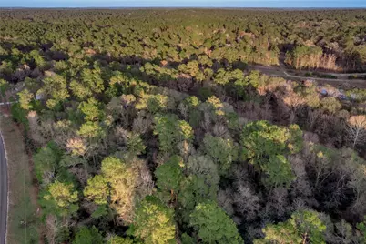 306 Sundog Road, Huntsville, TX 77340 - Photo 10