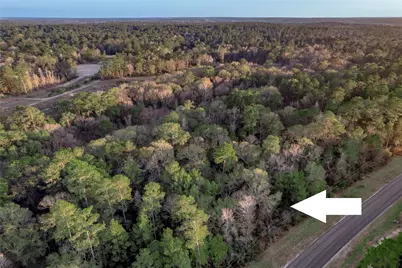 306 Sundog Road, Huntsville, TX 77340 - Photo 2