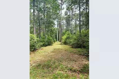 Tbd Lone Star Road, Navasota, TX 77868 - Photo 6