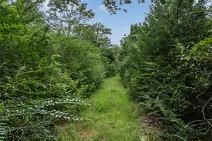 Tbd West Caney Rd, Normangee, TX 77871 - Photo 1