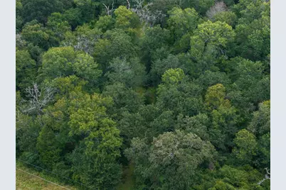 Tbd West Caney Road, Normangee, TX 77871 - Photo 30