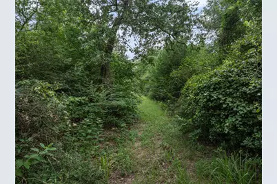 Tbd West Caney Road, Normangee, TX 77871 - Photo 2