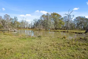20950 Shady Ln, Crosby, TX 77532 - Photo 32