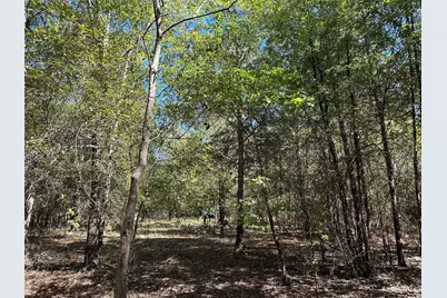 Tbd Somerset Trail Road, Point Blank, TX 77364 - Photo 12