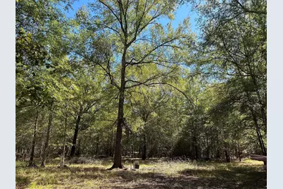 Tbd Somerset Trail Road, Point Blank, TX 77364 - Photo 16