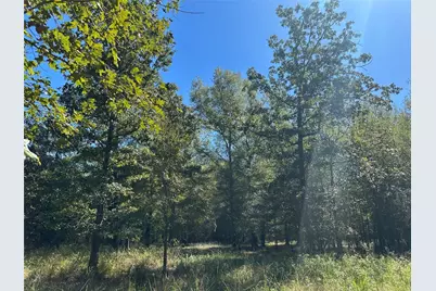 Tbd Somerset Trail Road, Point Blank, TX 77364 - Photo 14