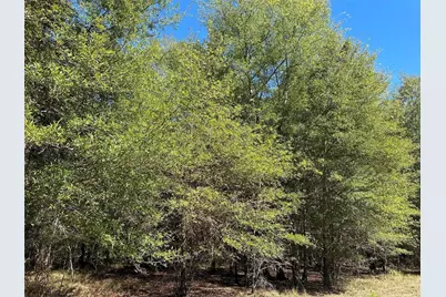 Tbd Somerset Trail Road, Point Blank, TX 77364 - Photo 18