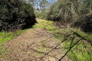 126 E Antelope Dr, Crosby, TX 77532 - Photo 6