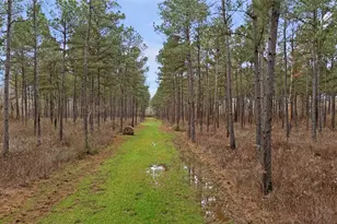 5397 Hwy 21 W, Nacogdoches, TX 75964 - Photo 6