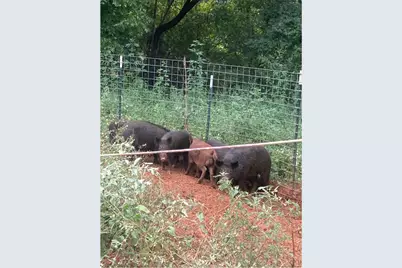 5397 Highway 21 W, Nacogdoches, TX 75964 - Photo 38