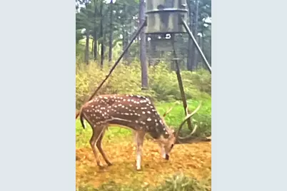 5397 Highway 21 W, Nacogdoches, TX 75964 - Photo 34