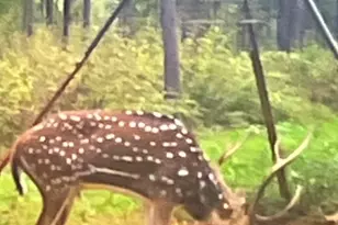 5397 Hwy 21 W, Nacogdoches, TX 75964 - Photo 34