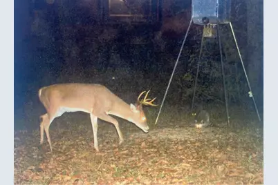 5397 Highway 21 W, Nacogdoches, TX 75964 - Photo 36