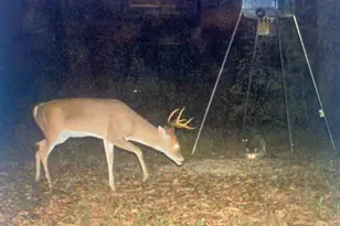 5397 Hwy 21 W, Nacogdoches, TX 75964 - Photo 36