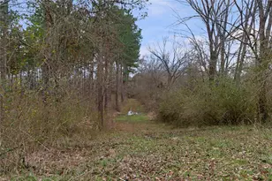 5397 Hwy 21 W, Nacogdoches, TX 75964 - Photo 10