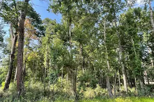 Tbd Payne Rd, Conroe, TX 77302 - Photo 4