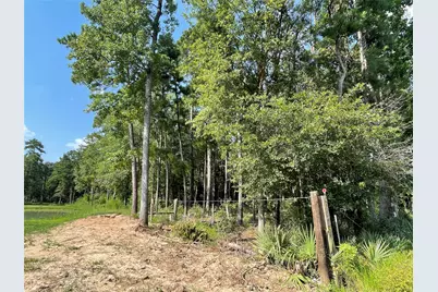 Tbd Payne Road, Conroe, TX 77302 - Photo 10
