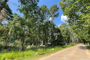 Tbd Payne Rd, Conroe, TX 77302 - Photo 8