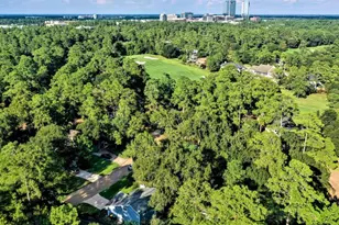 3 Kino Ct, The Woodlands, TX 77380 - Photo 14