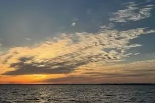 172 Little Dove, Livingston, TX 77351 - Photo 46