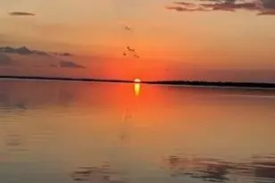 172 Little Dove, Livingston, TX 77351 - Photo 48