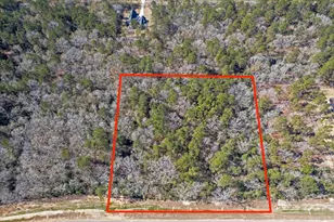 16169 Ridge Oak Dr, Willis, TX 77378 - Photo 8