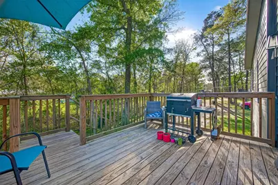 31718 Debbi Lane, Magnolia, TX 77355 - Photo 2