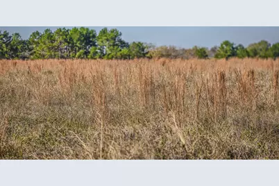 Tbd (Lot 1) Podraza Road, New Waverly, TX 77358 - Photo 14