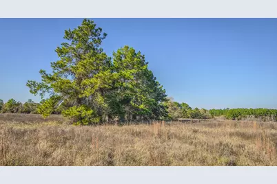 Tbd (Lot 1) Podraza Road, New Waverly, TX 77358 - Photo 8